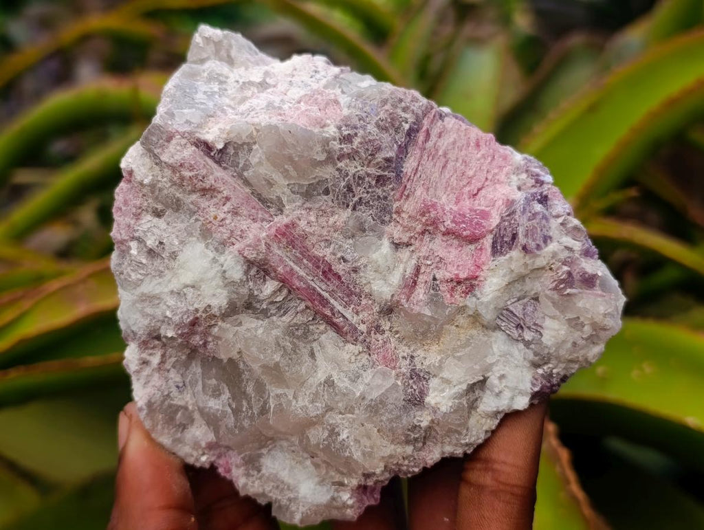 Natural Pink Rubellite Tourmaline Specimens x 6 From Karibib, Namibia - Toprock Gemstones and Minerals 