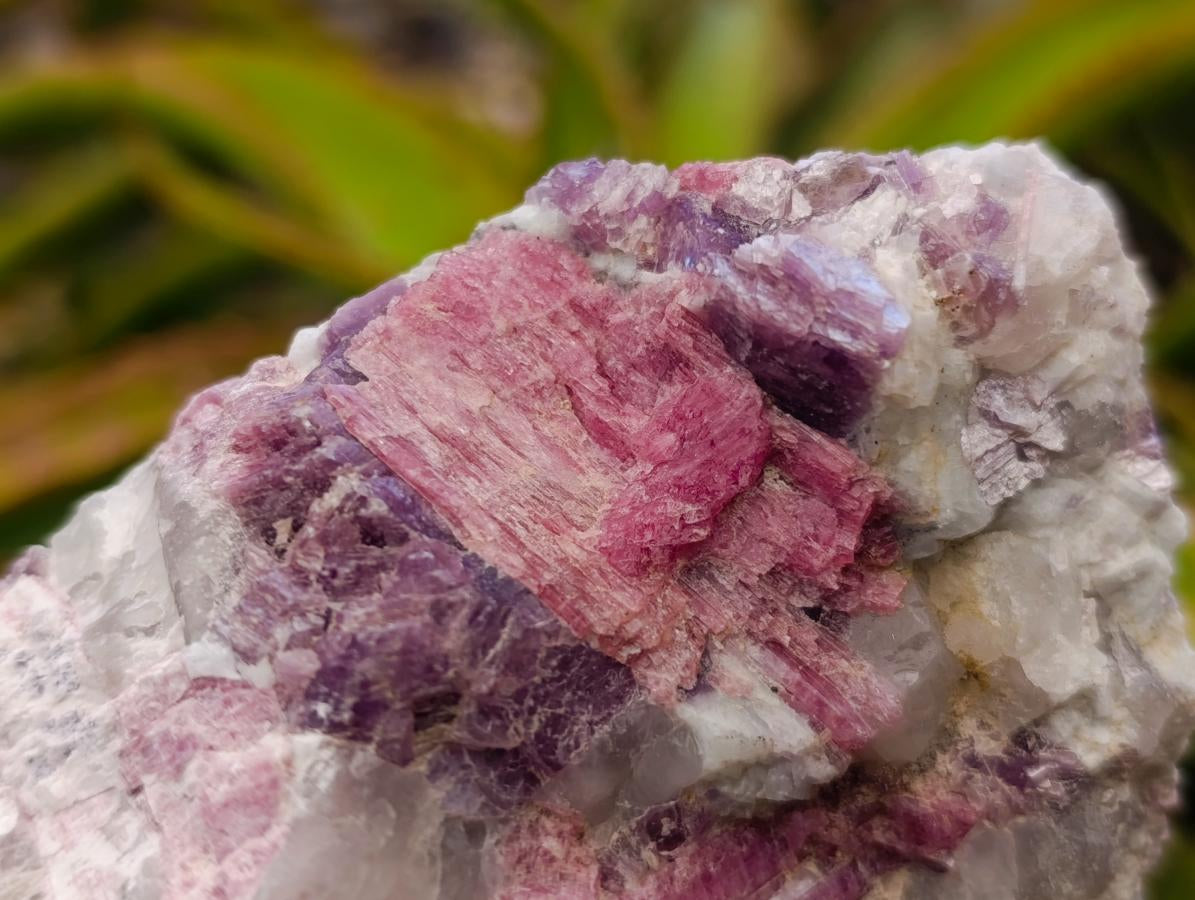 Natural Pink Rubellite Tourmaline Specimens x 6 From Karibib, Namibia - Toprock Gemstones and Minerals 