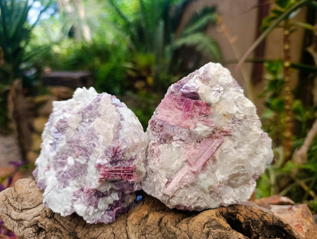 Natural Pink Rubellite Tourmaline Specimens x 6 From Karibib, Namibia - Toprock Gemstones and Minerals 