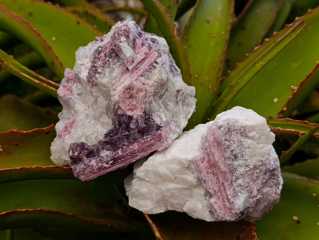 Natural Pink Rubellite Tourmaline Specimens x 6 From Karibib, Namibia - Toprock Gemstones and Minerals 