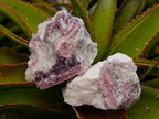 Natural Pink Rubellite Tourmaline Specimens x 6 From Karibib, Namibia - Toprock Gemstones and Minerals 
