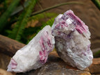Natural Pink Rubellite Tourmaline Specimens x 6 From Karibib, Namibia - Toprock Gemstones and Minerals 