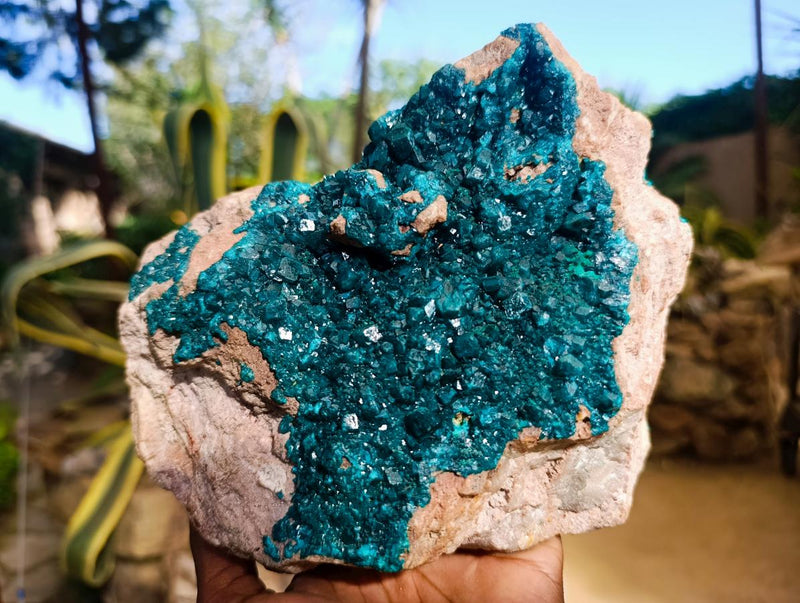 Natural Large Dioptase on Dolomite Specimen x 1 From Likasi, Congo - Toprock Gemstones and Minerals 
