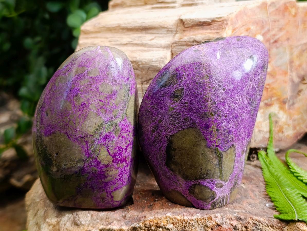 Polished Stichtite Standing Free Forms x 3 From Barberton, South Africa - Toprock Gemstones and Minerals 
