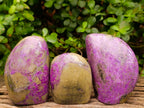 Polished Stichtite Standing Free Forms x 3 From Barberton, South Africa - Toprock Gemstones and Minerals 