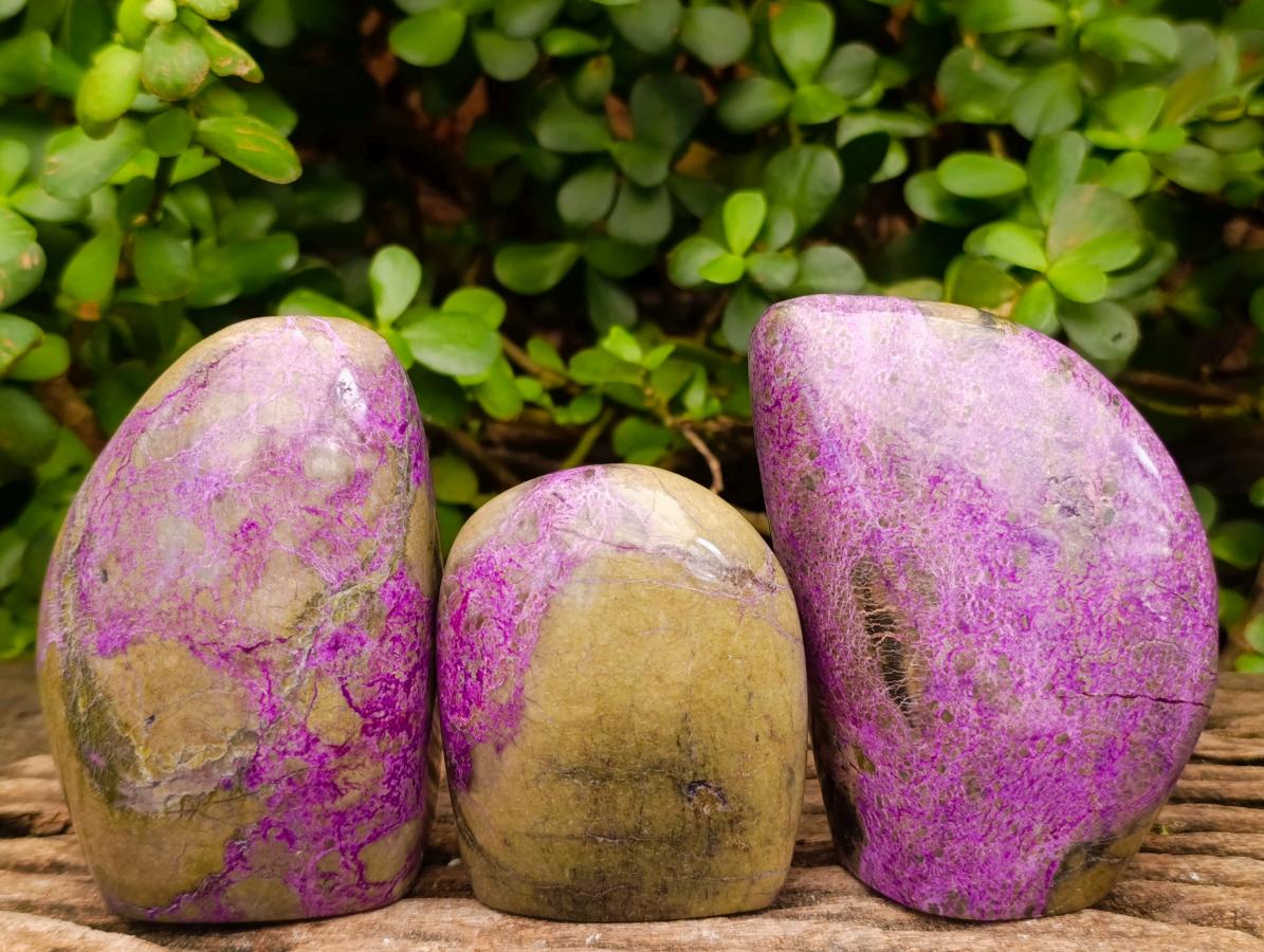 Polished Stichtite Standing Free Forms x 3 From Barberton, South Africa - Toprock Gemstones and Minerals 