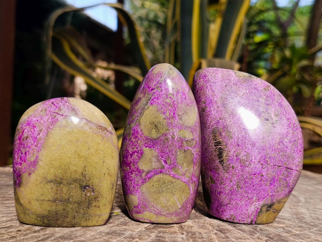 Polished Stichtite Standing Free Forms x 3 From Barberton, South Africa - Toprock Gemstones and Minerals 