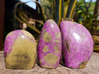 Polished Stichtite Standing Free Forms x 3 From Barberton, South Africa - Toprock Gemstones and Minerals 