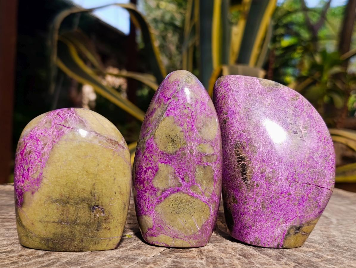 Polished Stichtite Standing Free Forms x 3 From Barberton, South Africa - Toprock Gemstones and Minerals 