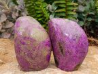 Polished Stichtite Standing Free Forms x 3 From Barberton, South Africa - Toprock Gemstones and Minerals 