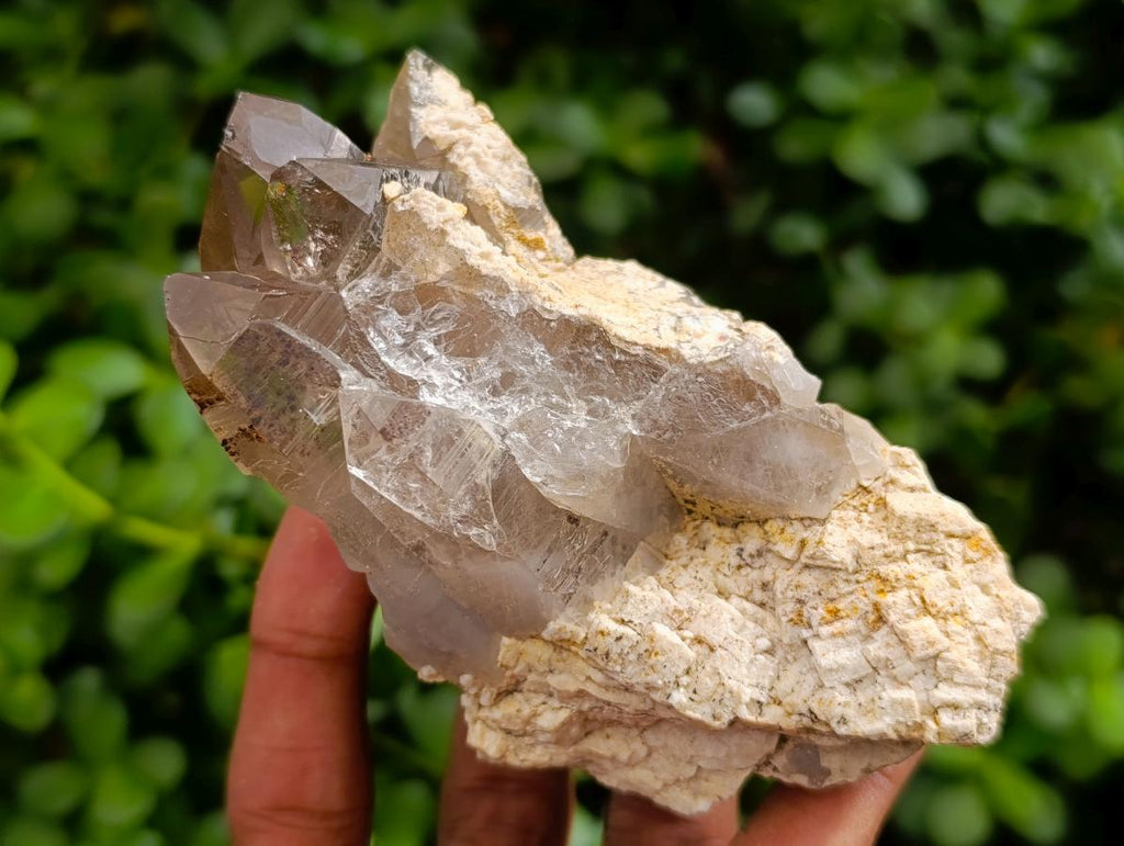 Natural Smokey Quartz Specimens with Associated Minerals x 6 From Mulanje, Malawi - Toprock Gemstones and Minerals 