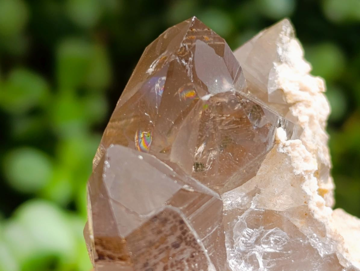 Natural Smokey Quartz Specimens with Associated Minerals x 6 From Mulanje, Malawi - Toprock Gemstones and Minerals 