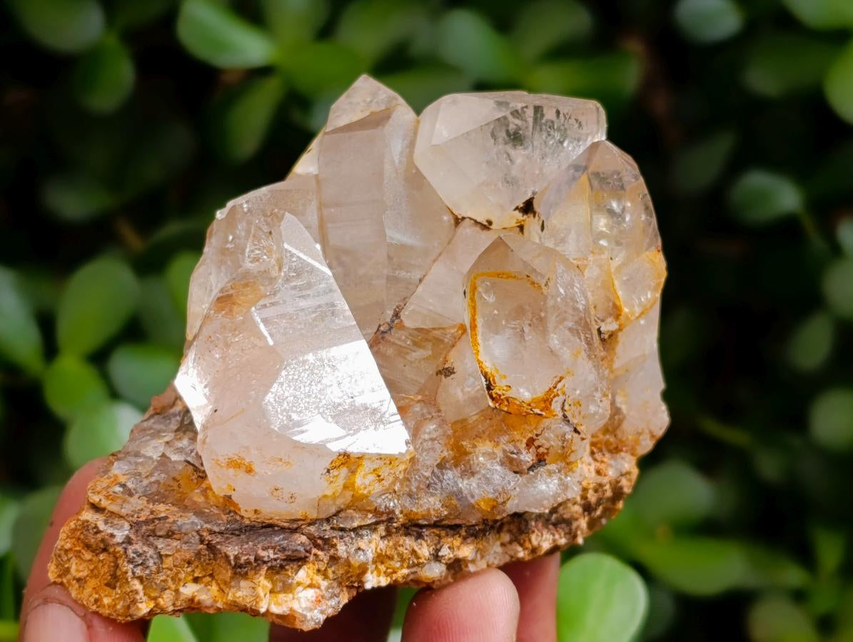 Natural Smokey Quartz Specimens with Associated Minerals x 6 From Mulanje, Malawi - Toprock Gemstones and Minerals 