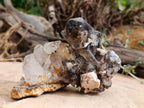 Natural Smokey Quartz Specimens with Associated Minerals x 6 From Mulanje, Malawi - Toprock Gemstones and Minerals 