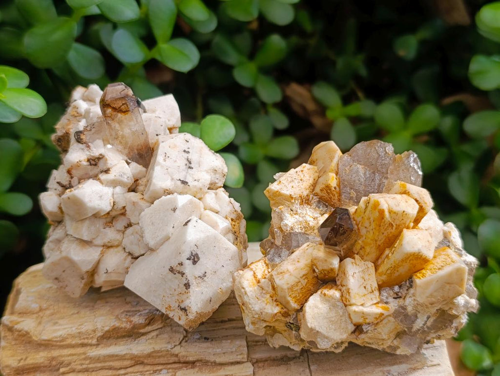 Natural Smokey Quartz Specimens with Associated Minerals x 6 From Mulanje, Malawi - Toprock Gemstones and Minerals 