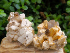 Natural Smokey Quartz Specimens with Associated Minerals x 6 From Mulanje, Malawi - Toprock Gemstones and Minerals 