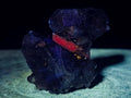 Natural Smokey Quartz Specimens with Associated Minerals x 6 From Mulanje, Malawi - Toprock Gemstones and Minerals 