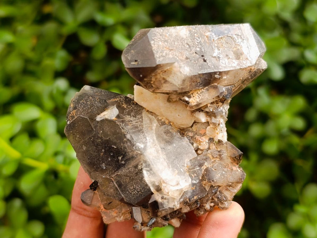 Natural Smokey Quartz Specimens with Associated Minerals x 6 From Mulanje, Malawi - Toprock Gemstones and Minerals 