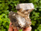 Natural Smokey Quartz Specimens with Associated Minerals x 6 From Mulanje, Malawi - Toprock Gemstones and Minerals 