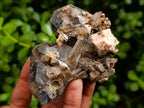 Natural Smokey Quartz Specimens with Associated Minerals x 6 From Mulanje, Malawi - Toprock Gemstones and Minerals 