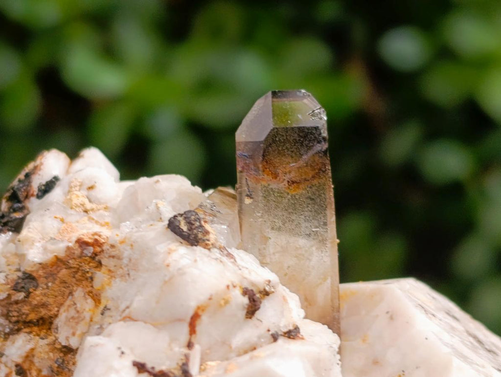 Natural Smokey Quartz Specimens with Associated Minerals x 6 From Mulanje, Malawi - Toprock Gemstones and Minerals 