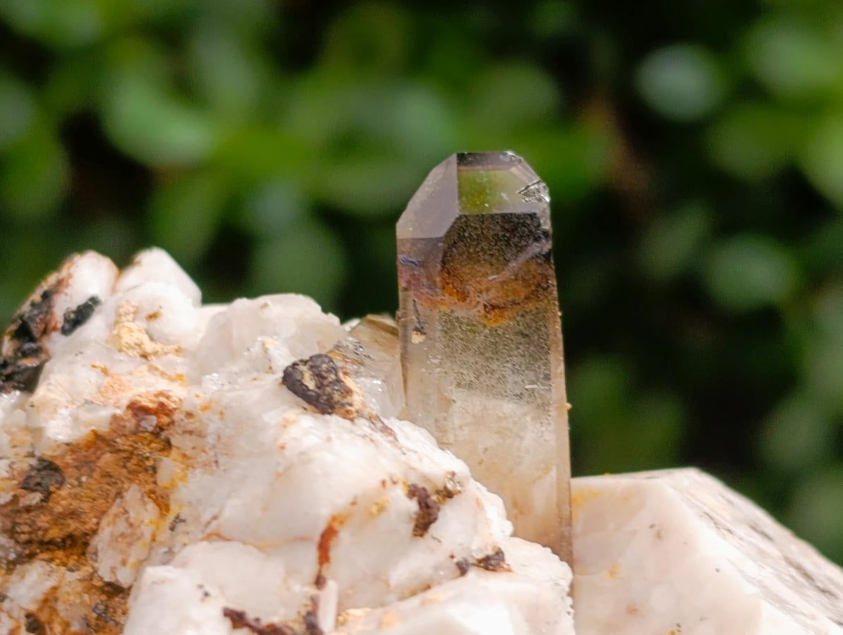 Natural Smokey Quartz Specimens with Associated Minerals x 6 From Mulanje, Malawi - Toprock Gemstones and Minerals 