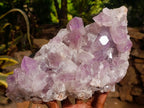 Natural Jacaranda Amethyst Clusters x 2 From Mumbwa, Zambia - Toprock Gemstones and Minerals 
