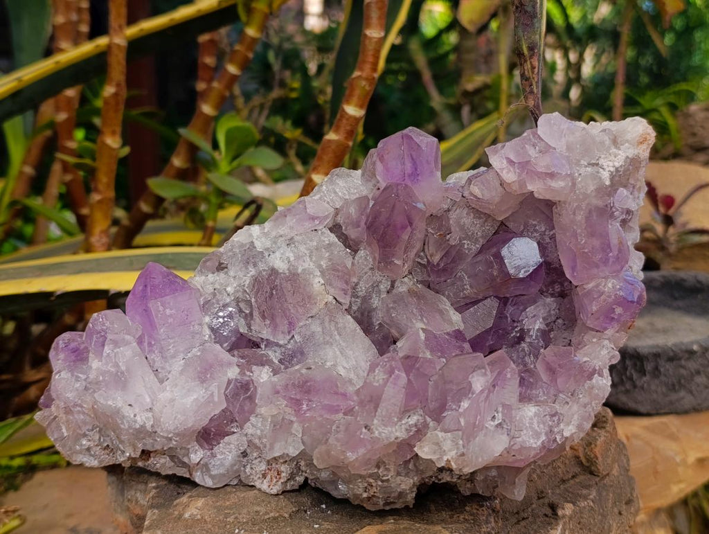 Natural Jacaranda Amethyst Clusters x 2 From Mumbwa, Zambia - Toprock Gemstones and Minerals 