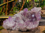 Natural Jacaranda Amethyst Clusters x 2 From Mumbwa, Zambia - Toprock Gemstones and Minerals 