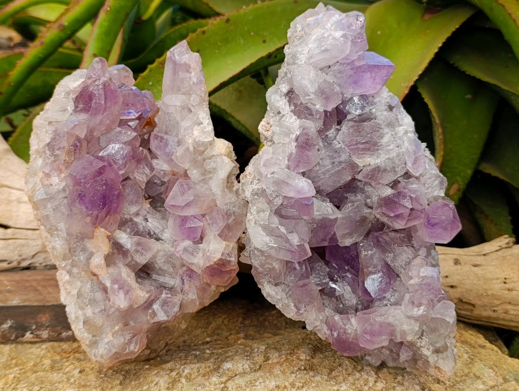 Natural Jacaranda Amethyst Clusters x 2 From Mumbwa, Zambia - Toprock Gemstones and Minerals 