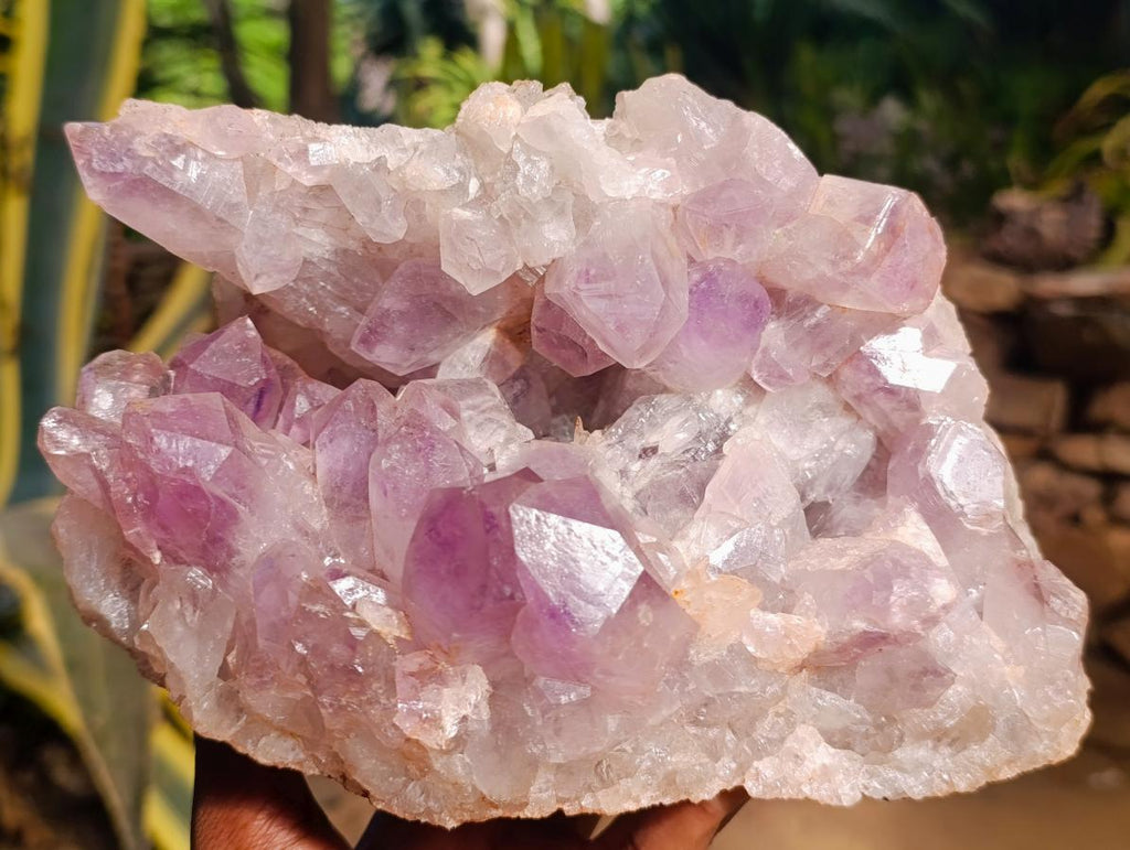 Natural Jacaranda Amethyst Clusters x 2 From Mumbwa, Zambia - Toprock Gemstones and Minerals 