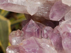 Natural Jacaranda Amethyst Clusters x 2 From Mumbwa, Zambia - Toprock Gemstones and Minerals 