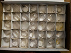 Polished Clear Quartz Crystal Galets x 35 From Madagascar - Toprock Gemstones and Minerals 