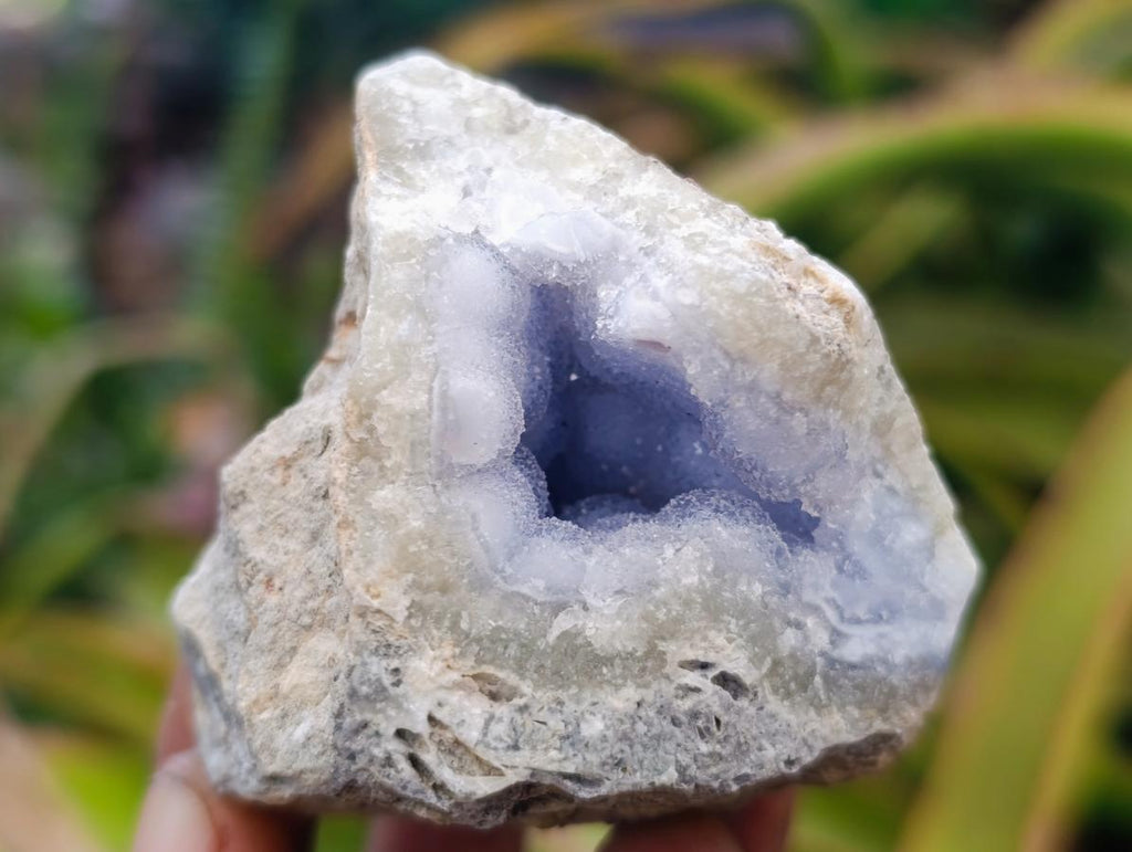 Natural Blue Lace Agate Geode Specimens x 12 From Nsanje, Malawi - Toprock Gemstones and Minerals 