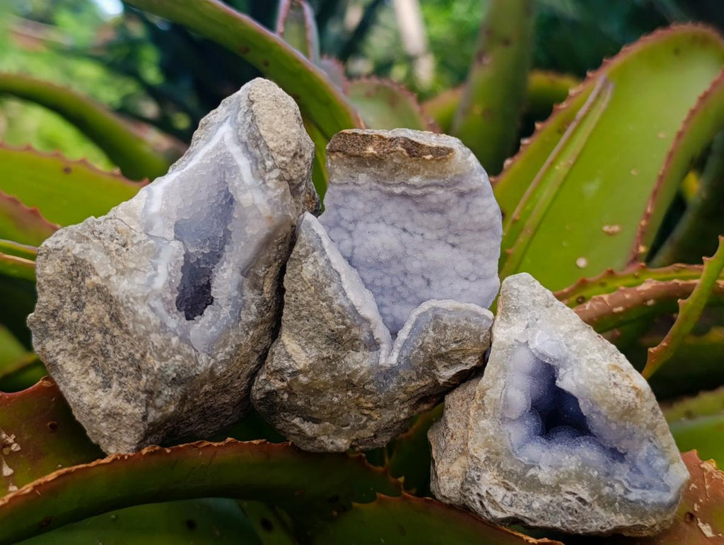 Natural Blue Lace Agate Geode Specimens x 12 From Nsanje, Malawi - Toprock Gemstones and Minerals 