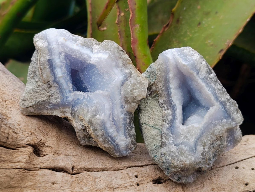 Natural Blue Lace Agate Geode Specimens x 12 From Nsanje, Malawi - Toprock Gemstones and Minerals 