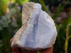 Natural Blue Lace Agate Geode Specimens x 12 From Nsanje, Malawi - Toprock Gemstones and Minerals 
