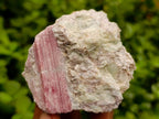 Natural Pink Rubellite Tourmaline Specimens x 6 From Karibib, Namibia - Toprock Gemstones and Minerals 