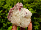 Natural Pink Rubellite Tourmaline Specimens x 6 From Karibib, Namibia - Toprock Gemstones and Minerals 