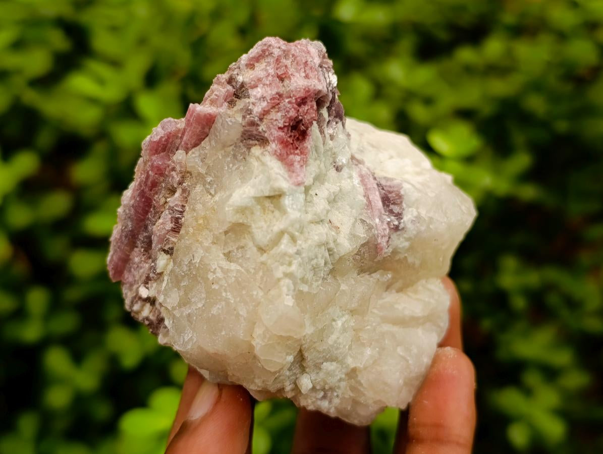 Natural Pink Rubellite Tourmaline Specimens x 6 From Karibib, Namibia - Toprock Gemstones and Minerals 