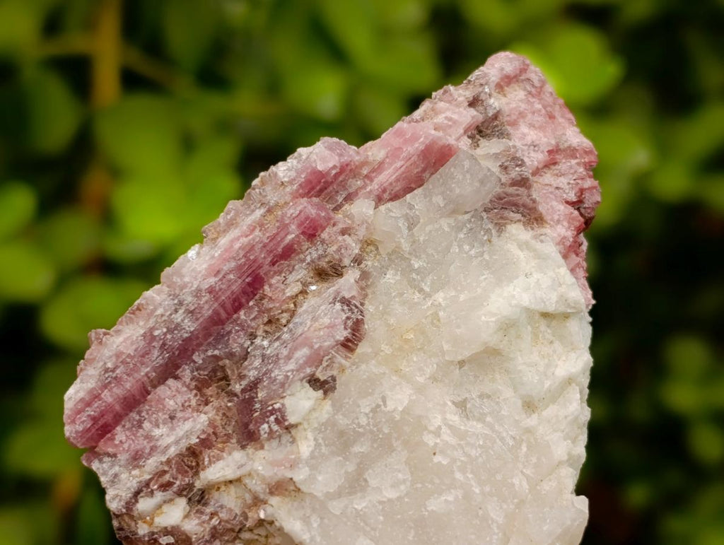 Natural Pink Rubellite Tourmaline Specimens x 6 From Karibib, Namibia - Toprock Gemstones and Minerals 