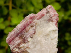 Natural Pink Rubellite Tourmaline Specimens x 6 From Karibib, Namibia - Toprock Gemstones and Minerals 