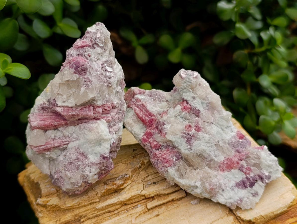 Natural Pink Rubellite Tourmaline Specimens x 6 From Karibib, Namibia - Toprock Gemstones and Minerals 