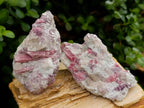 Natural Pink Rubellite Tourmaline Specimens x 6 From Karibib, Namibia - Toprock Gemstones and Minerals 