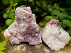 Natural Pink Rubellite Tourmaline Specimens x 6 From Karibib, Namibia - Toprock Gemstones and Minerals 