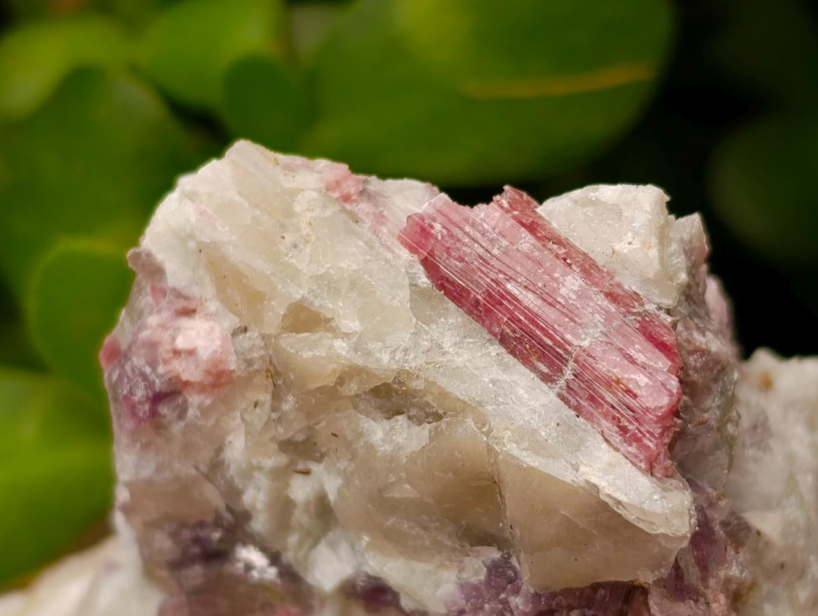 Natural Pink Rubellite Tourmaline Specimens x 6 From Karibib, Namibia - Toprock Gemstones and Minerals 