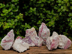 Natural Pink Rubellite Tourmaline Specimens x 6 From Karibib, Namibia - Toprock Gemstones and Minerals 