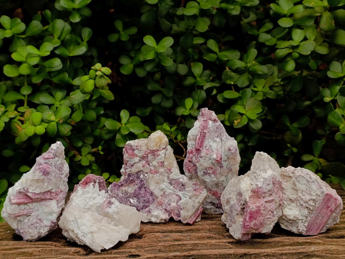 Natural Pink Rubellite Tourmaline Specimens x 6 From Karibib, Namibia - Toprock Gemstones and Minerals 