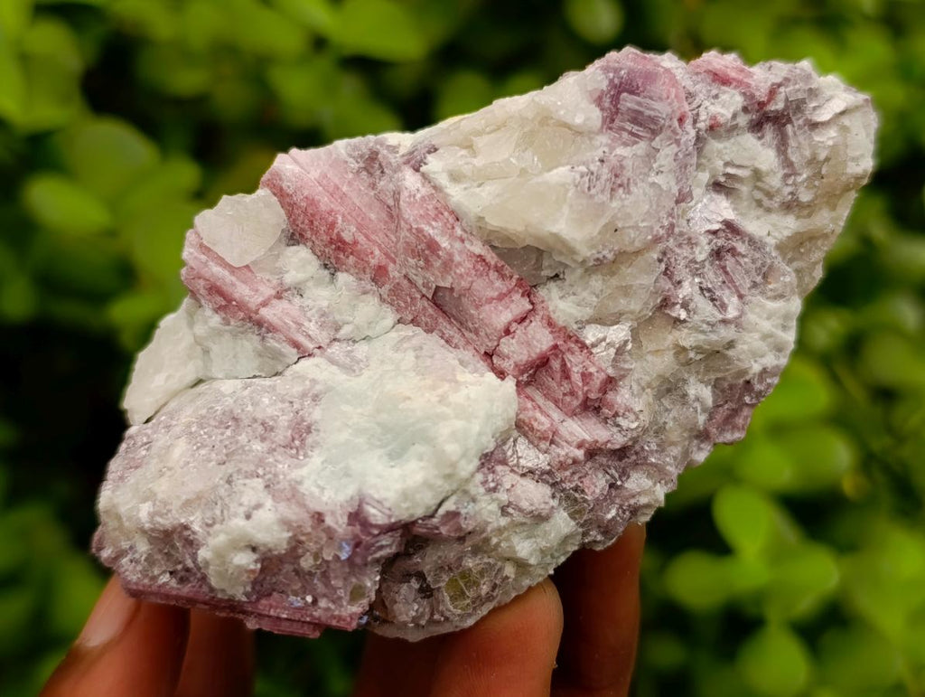 Natural Pink Rubellite Tourmaline Specimens x 6 From Karibib, Namibia - Toprock Gemstones and Minerals 