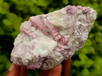 Natural Pink Rubellite Tourmaline Specimens x 6 From Karibib, Namibia - Toprock Gemstones and Minerals 